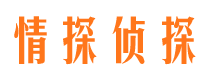 青原侦探公司